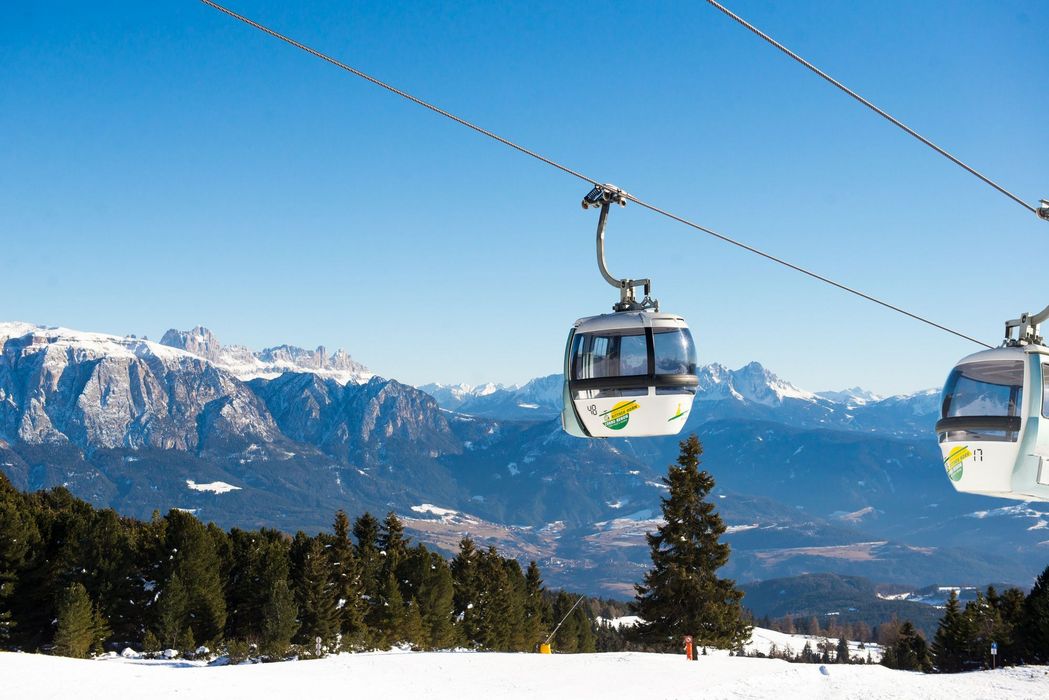 Two ski gondolas on cable with snowy mountains and pine trees in the background under clear blue sky.