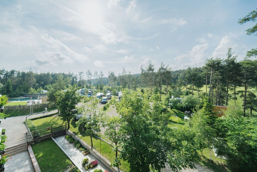 Campingplatz mit Zelten, Fahrzeugen und umgeben von Bäumen unter blauem Himmel