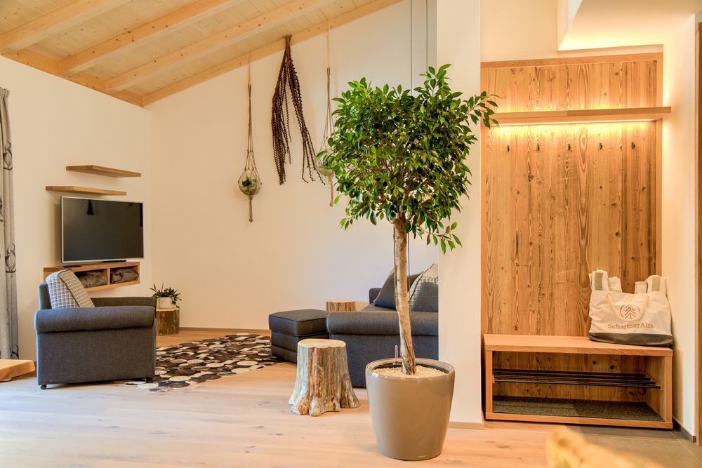Gemütliches Wohnzimmer mit Holzdecke, Topfpflanze und moderner Einrichtung.