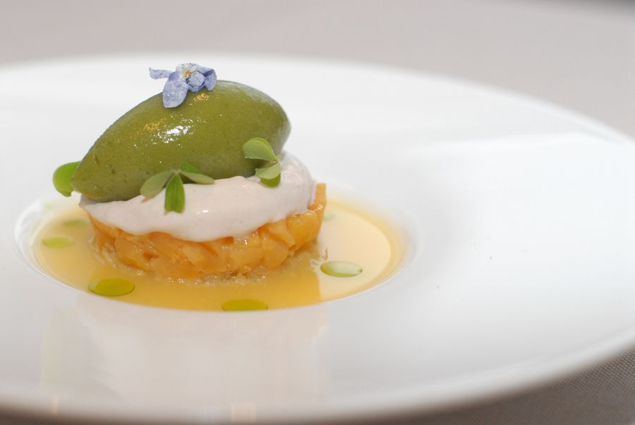 Fein angerichtete Vorspeise mit grüner Creme und blauer Blüte auf weißem Teller