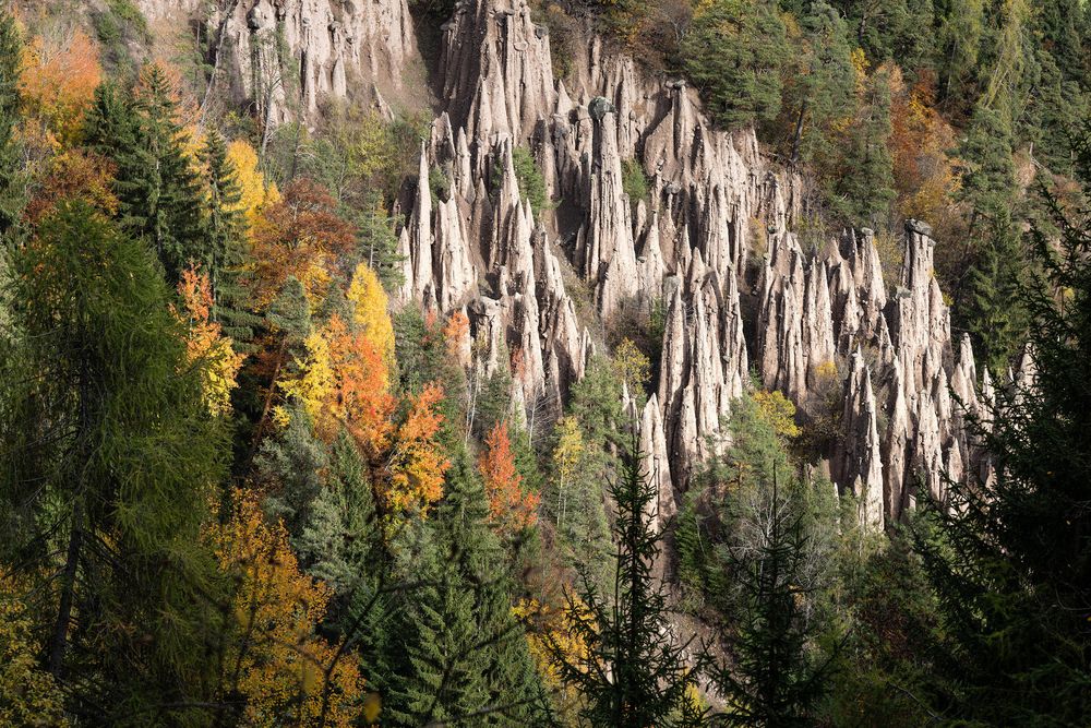 Formazioni rocciose pinnacolate circondate da alberi autunnali con foglie colorate.
