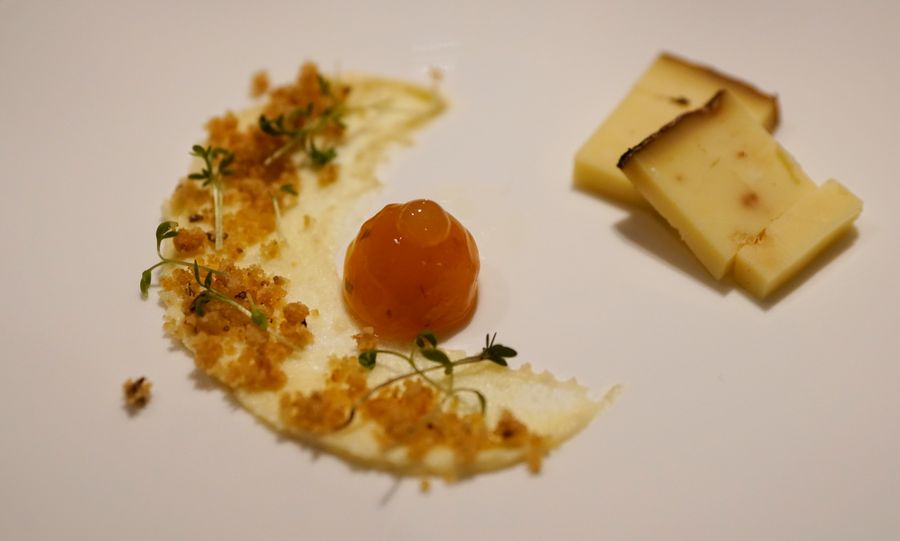 Käse mit Gelee und Kräutern auf weißem Teller angerichtet